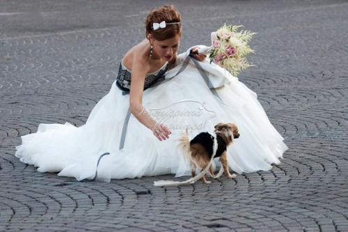 Bride in Verona 